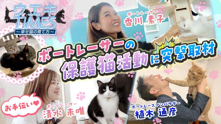 【ボートレーサーの保護猫活動】やんちゃな子猫が幸せに育つために｜香川素子×ボートレースアンバサダー植木通彦「ウエキTIMES」